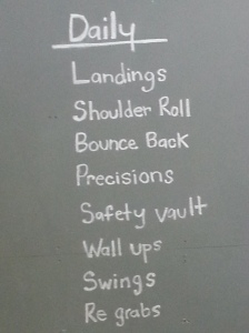This was the list of movements that we would be learning in our first class.